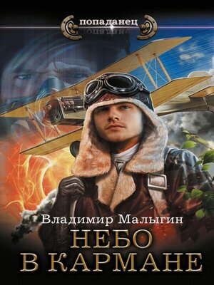 cover image of Небо в кармане